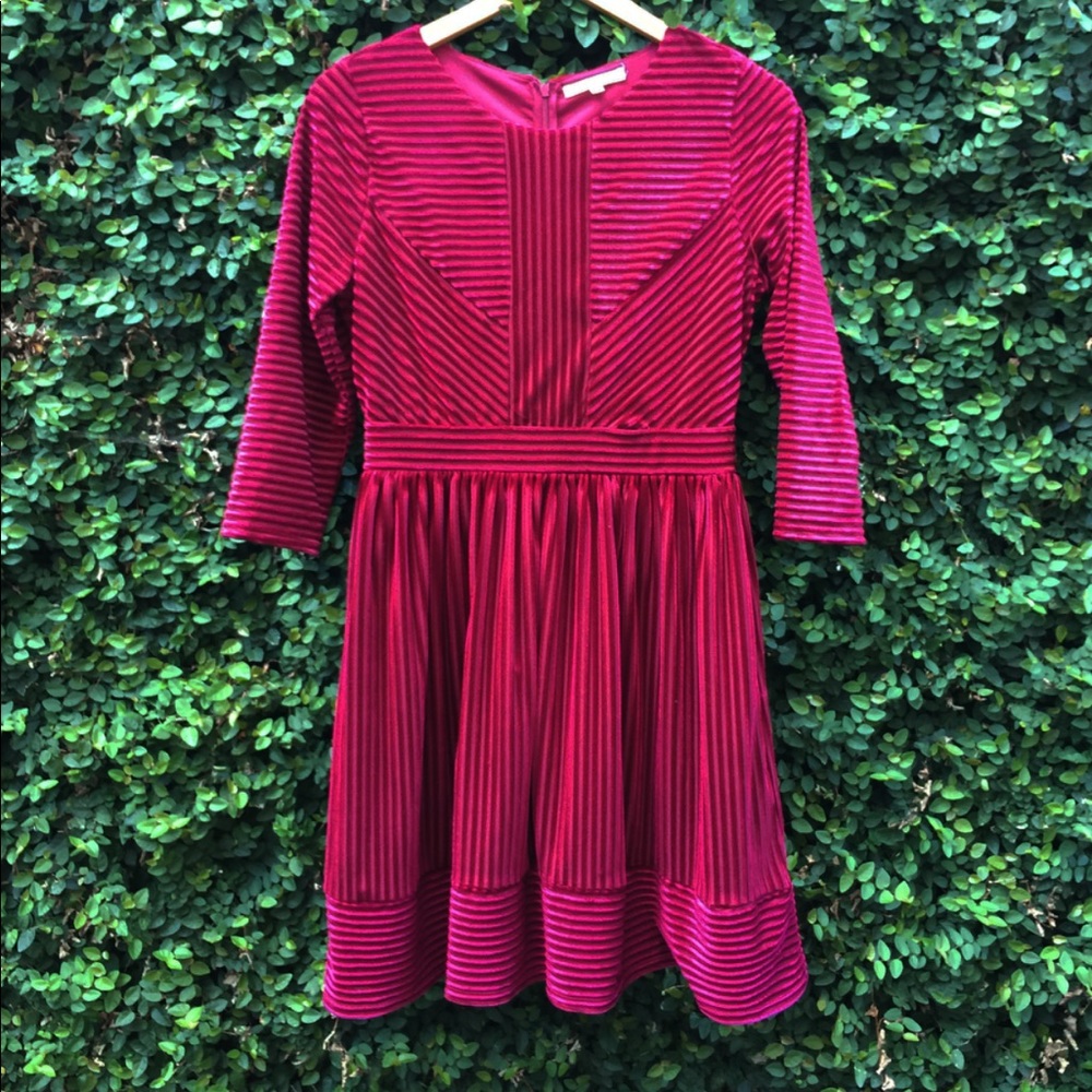 Raspberry Velvet A Line Dress